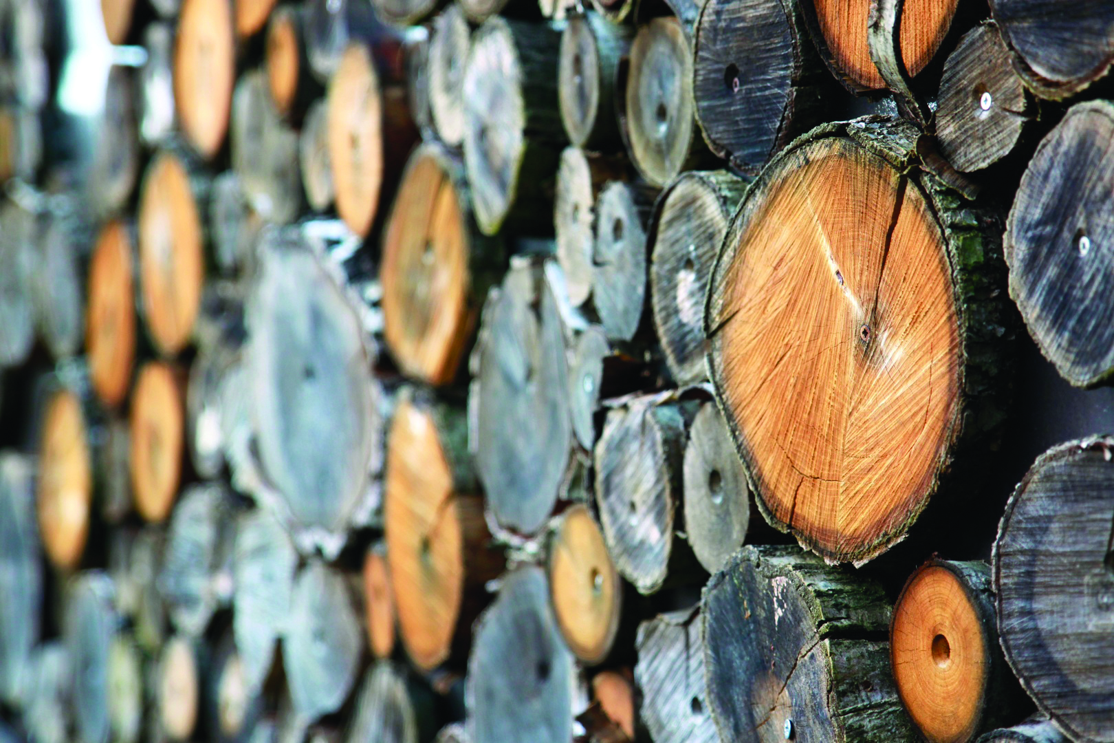 Foto de transformación de la madera