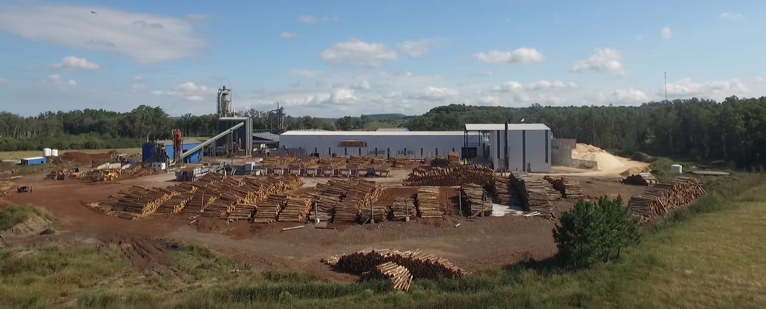 Forestal Maderero