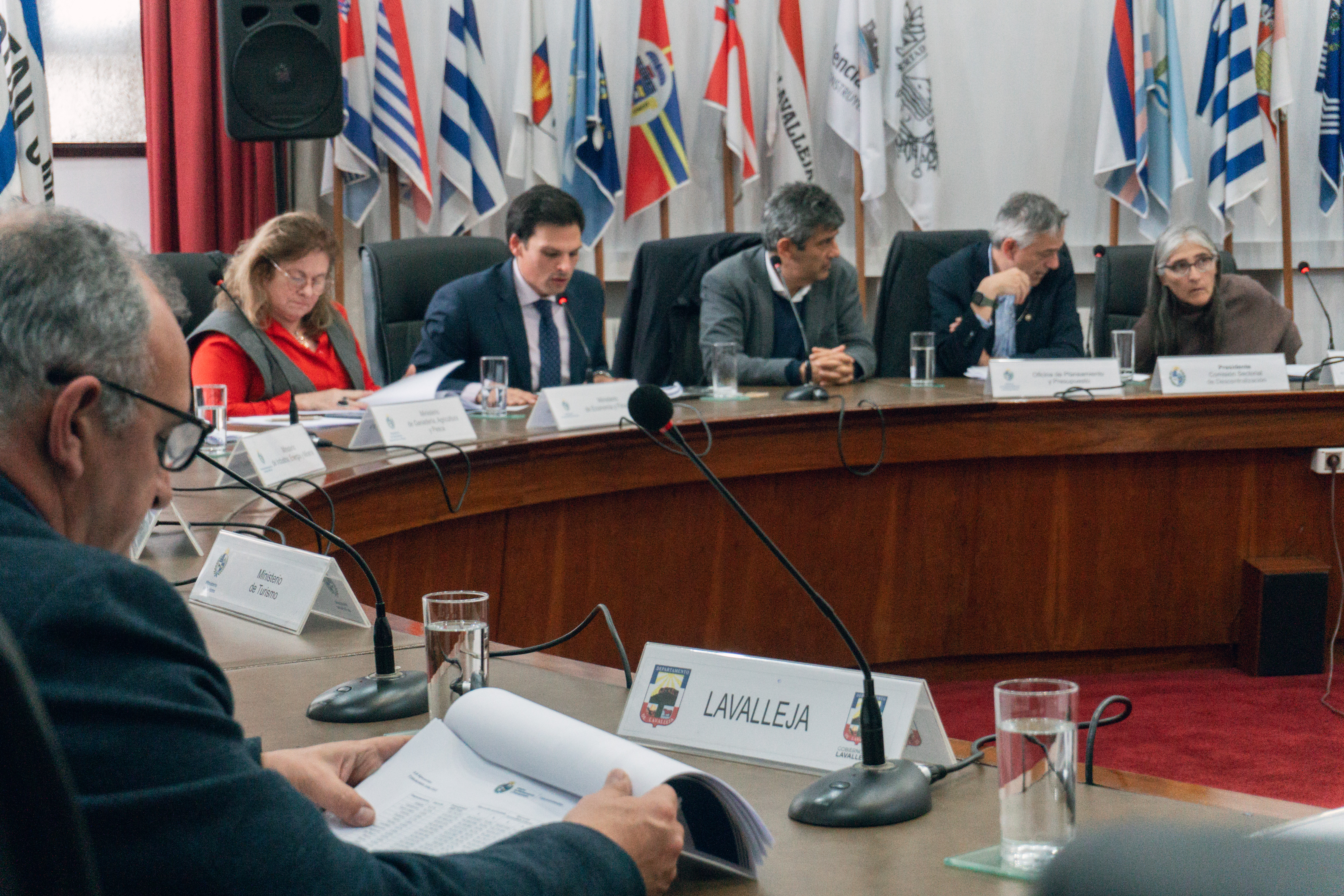 Sesión de la Comisión Sectorial de Descentralización