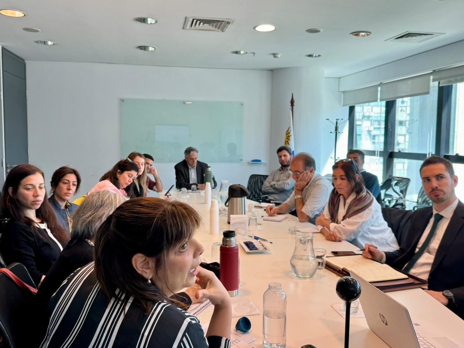 Comisión de Expertos en Política Poblacional