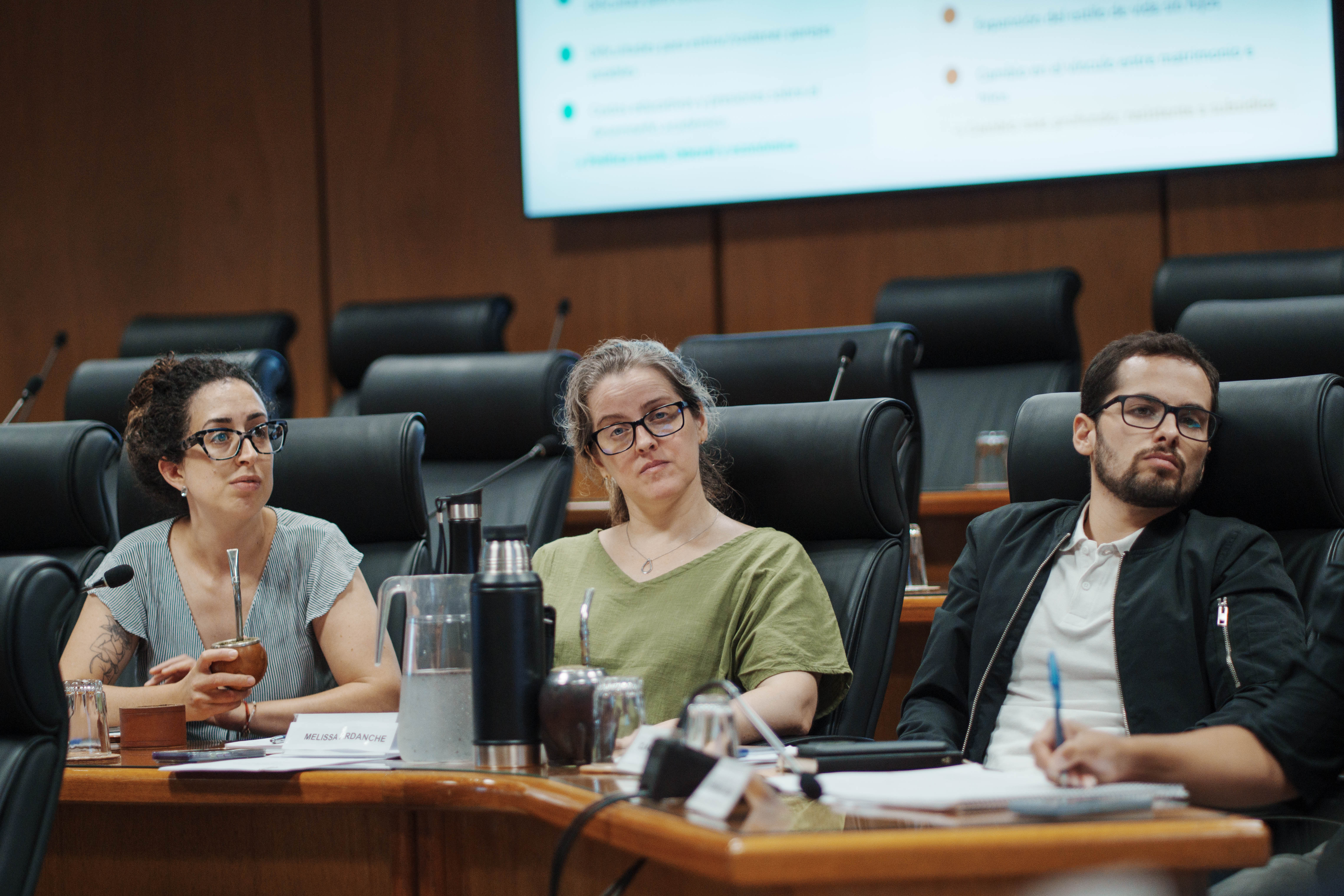 Comisión de Expertos en Política Poblacional fue recibida por la Cámara de Representantes