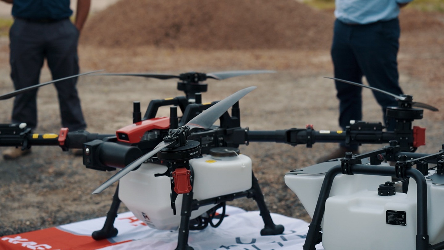 Mejoramiento agroecológico de praderas en San Javier