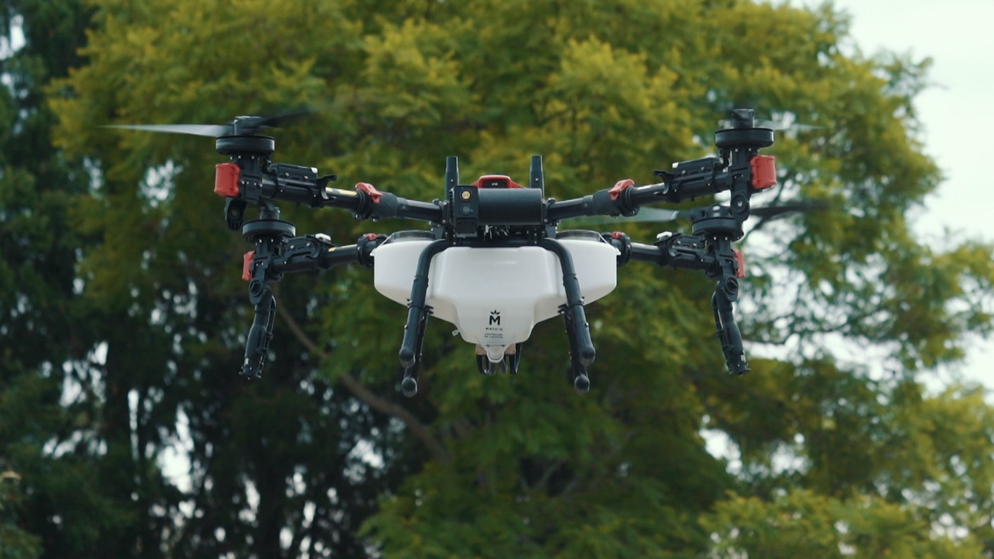 Mejoramiento agroecológico de praderas en San Javier